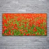 Acrylglasbilder 120x60 Wandbild Druck Mohnblumen Natur Produktbild-Vorschau 2
