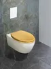 A wall-mounted toilet with a gold seat against a marble-patterned wall. Produktbild-Vorschau