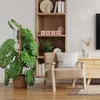 Deco4Home, oporná tyč z kokosového vlákna, 150 cm x 32 mm x Náhľad obrázku produktu 3