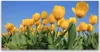 Tulup Leinwand-Bilder 120x60 Wandbild Canvas Kunstdruck Produktbild-Vorschau 1