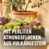 A close-up of a planter filled with succulents and other small plants, with text overlay. Náhľad obrázku produktu