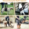 A collage of four images showing different scenarios of using a dog lifting harness. Produktbild-Vorschau