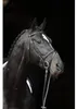 Kerbl 32170 Trensen-Zaum Standard Leder für Pony Schwarz Produktbild-Vorschau 7