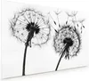 Küchenrückwand Spritzschutz Glas mit Motiv Pusteblumen 40 x Produktbild-Vorschau 1