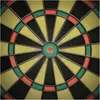 Carromco Carromco Electronic Dartboard Score-301 #2, Voir les images du produit 13