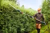 A man is trimming a hedge with a long pole hedge trimmer in a garden. Produktbild-Vorschau