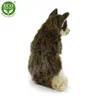 Lupo di peluche seduto 28 cm ECO-FRIENDLY Anteprima dell’immagine prodotto 9
