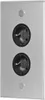 A close-up, front-facing view of a double electrical outlet on a silver plate. Produktbild-Vorschau