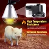 Reptilien Wärmelampe Terrarium, 250W Rotlichtlampe Produktbild-Vorschau 11