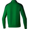 Erima Evo Star Trainingsjacke Smaragd/Pine Grove Produktbild-Vorschau 2