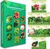 A collage of a green box containing seed packets for winter vegetables, with individual seed packet images displayed around it. Produktbild-Vorschau