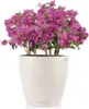 LECHUZA-Pot de plantes CLASSICO Color 35 Blanc | Pot de Voir les images du produit 7