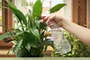 10 x 750 ml Sprühflasche aus PET, G28, Sprühpistole Produktbild-Vorschau 3