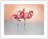 Poster - Poster ohne Rahmen - Flamingos Exotik Vögel - Produktbild-Vorschau 1