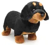 Teckel en peluche 30 cm ECO-FRIENDLY Voir les images du produit 1