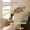 Knupis Katzen Kletterwand Set mit Hängematte & 2X Produktbild-Vorschau 2