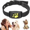 A collage showing a dog collar with a paw print, a woman petting a golden retriever, and a small Yorkshire terrier. Produktbild-Vorschau