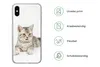 MuchoWow® Handyhülle Schutzhülle Hülle für iPhone Xs Kitten Produktbild-Vorschau 7
