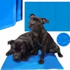 Tapis de refroidissement auto-refroidissant pour chien chat Voir les images du produit 1