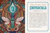 The Illustrated Crystallary Produktbild-Vorschau 5