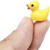 Mini Ente, 100 kleine Gummienten, hoch dekorativ, Produktbild-Vorschau 6