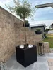 Elegant Einrichten | Pflanzkübel | Fiberglas | quadratisch Produktbild-Vorschau 2