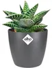 elho brussels Rund Mini 9,5cm Übertopf - anthrazit Produktbild-Vorschau 7