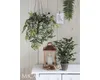 Kunstpflanze Ficus im Topf grün/mehrfarbig 40cm Produktbild-Vorschau 9