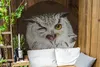 MuchoWow® Produktbild-Vorschau 3