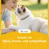 PawHut Katzenhaus aus Holz 2-Etagen Katzenhöhle mit Produktbild-Vorschau 9