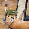 A cat is playing on a cat tree, with close-up insets highlighting product features. Produktbild-Vorschau