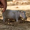 Schleich - Hipopotam 14814 Anteprima dell’immagine prodotto 4