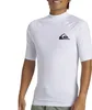 Quiksilver UV Shirt Everyday Elasthan Surf Shirt White : L Produktbild-Vorschau 4