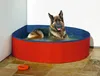 A German Shepherd dog is relaxing in a red and blue dog pool. Anteprima dell’immagine prodotto