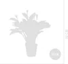 Bloomique - Calathea Crocata - Eternal Flame - Roślina Podgląd zdjęcia produktu 6