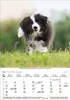 Korsch Kalender 2027: Hunde – Mit wechselnden Tiermotiven Produktbild-Vorschau 10