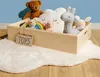 Creative Deco Große Holzkiste Obstkiste Korb 60 x 40 x 13,5 Produktbild-Vorschau 2