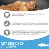 IAMS Senior Katzenfutter trocken mit Fisch - Trockenfutter Produktbild-Vorschau 3
