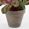 Mica Decorations Fiore artificiale di ciclamino - 30x30x30 Anteprima dell’immagine prodotto 2