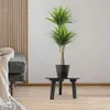 A potted plant sits on a small black table next to a grey sofa with a blanket draped over it, in a room with wooden wall paneling and light-colored flooring. Voir les images du produit