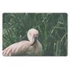 MuchoWow® Schreibtischunterlage Ein Flamingo steht zwischen Produktbild-Vorschau 1
