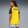 Koszulki Puma Bvb Home Jersey Replica 946438001 Podgląd zdjęcia produktu 4