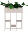 A rectangular planter filled with green plants on a white background. Náhled obrázku produktu