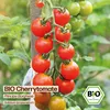 Samenliebe  Tomate Samen | Principe Borghese - rot & Produktbild-Vorschau 4