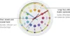 Hama Wandklok Voor Kinderen Easy Learning Diameter 30 Cm Náhľad obrázku produktu 5