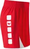 Erima Classic 5-c Shorts Mehrfarbig Produktbild-Vorschau 2