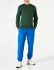 Lacoste Logo-Sweatshirt, Grün S Produktbild-Vorschau 2