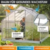 BRAST Gewächshaus Aluminium mit Fundament | 380x250x205cm | Produktbild-Vorschau 6
