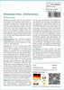 SAFLAX - Mittelmeer-Pinie - Pinus pinea - 6 Samen Produktbild-Vorschau 3