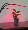 Gardlov 2x LED Lempa augalų auginimui - 2 vnt. Náhled obrázku produktu 20